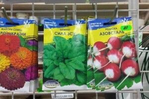 Напій «Буча Комбуча» та «Редиска «Азовсталь»: Рада заборонить використання деяких назв