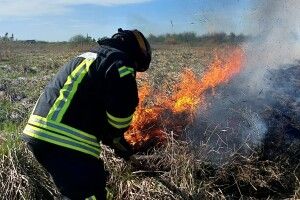 У трьох районах Волині горіла суха трава (Відео)