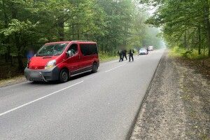 У Луцькому районі водій збив пішохідку