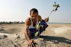 Чи може одна людина посадити цілий ліс?