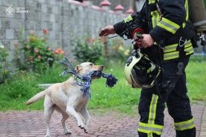 В обласному центрі Волині рятувальники винесли з палаючої хати собаку й кота