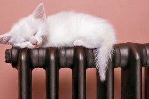 У квартирах лучан на одній вулиці завтра буде холодно