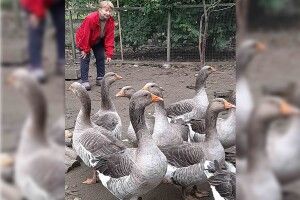 «Поляки одружувалися з українцями, тож колись у селі Мислина жили змішані родини» 