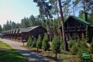 На Рівненщині на землях державного лісового фонду триває будівництво елітного комплексу відпочинку (Фото)
