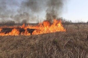 У Луцькому районі оштрафували чергового палія сухої трави