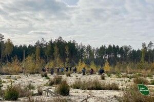 На Рівненщині відновлюють ділянки, пошкоджені незаконним видобутком бурштину
