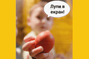 Велекодній гумор: карантин, яєчна тема і «мудрість від Кличка»