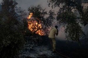 Українських туристів масово евакуюють з Туреччини через лісові пожежі