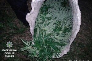 На березі Стира спіймали неповнолітніх… з мішком конопель (фото)