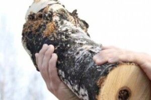Житель Любомльщини, який вбив односельця через годинник, понад 7 років проведе за ґратами