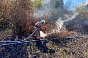 На Волині 2 години боролися з вогнем на торфовищі