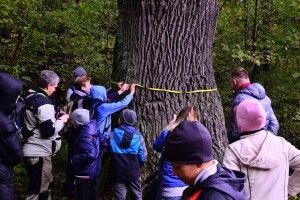 Юні екскурсанти натрапили у Цуманській пущі на дуба-гіганта (фото)