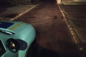 Щоб затримати водія правоохоронцям довелося застосувати табельну зброю
