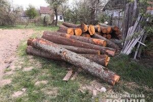 На Рівненщині поліція вилучила в селянина 30 вільхових колод невідомого походження