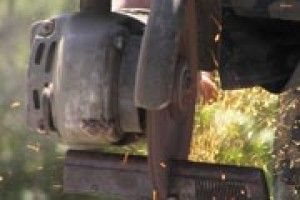 І ЖУРНАЛІСТИ ЗНИЩУВАЛИ ЗБРОЮ