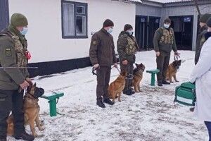 У колонії на Волині перевірили, в яких умовах перебувають службові пси 