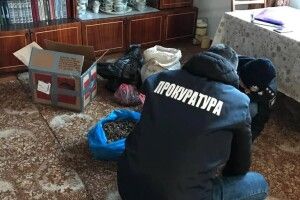 Придбання та зберігання бурштину без документів – на незаконному промислі викрито жителя Вараша