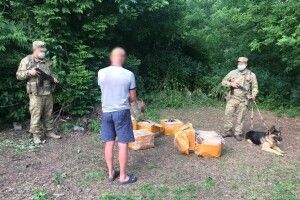 До суду за іграшки (Відео)