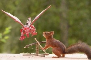 На Київщині 26-річний п’яничка забив до смерті 83-річну жінку – здалося, що відьма…