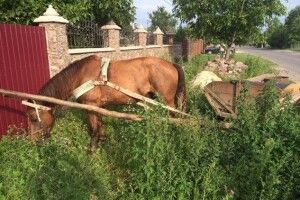 У Тайкурах дядько добряче хильнув… і уявив себе грабіжником