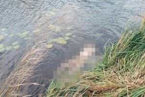 Пенсіонер розчленував зятя, палив у печі і топив залишки тіла