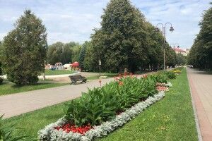 Як в Луцьку чепурять парк до Дня міста (Фото)