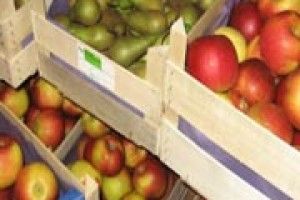 ЯК ДОВШЕ ЗБЕРЕГТИ ОВОЧІ І ФРУКТИ СВІЖИМИ