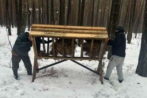 Як нацпарк на Волині дбає про диких тварин у морози (Фото)