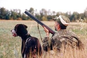 Сьогодні на Волині відкривається сезон полювання на пернату дичину