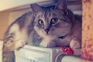 10% будинків у Луцьку без опалення