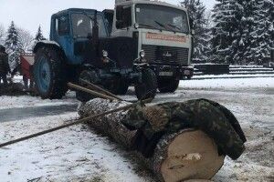 У Луцьку на меморіалі зрізають дерева