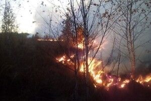 Біля Любешова горить болото