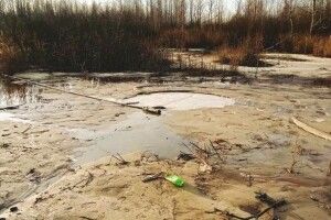 На Рівненщині встановлюють причетних до незаконного промислу (Фото)