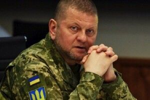 Залужного звільнено