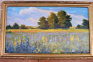 ВЕРНІСАЖІ: «Лісоозерна перлина України»