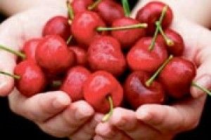 ЧЕРЕШНЯ ДАРУЄ ЗДОРОВ’Я