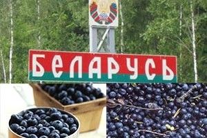 ПО ЧОРНИЦІ — У БІЛОРУСЬ