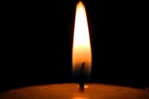 Він прийняв удар об дерево на себе…