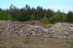 Міжнародну трасу на Волині перекрили через гнилі туші
