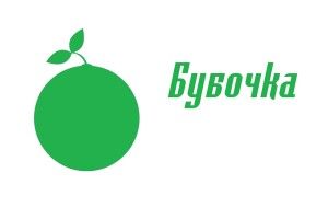 Ексглава Офісу Президента назвав «бубочкою» очільницю делегації України в ПАРЄ (Фото)