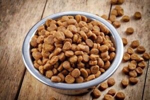 У Луцьку патрульні подарували гам-гам для гав-гав (Фото)