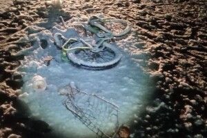 На Волині водій на смерть збив жінку та втік (Фото)