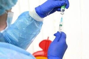 На Волині бракує вакцини від сказу: влада шукає шляхи вирішення