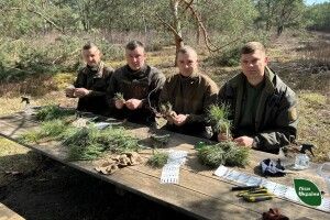 На Волині та Рівненщині планують створити 100 га клонових плантацій