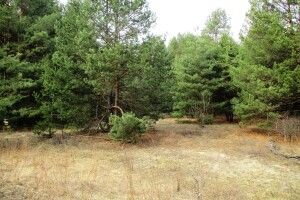 На Волині в господарства забрали два гектари землі, яку використовували незаконно