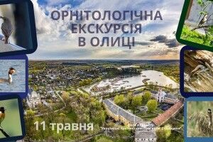 Любителів дзьобатої фауни кличуть в Цуманську пущу