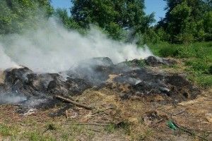 У луцькому парку вирувала пожежа