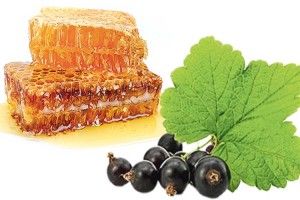 Смородину простимулює… мед