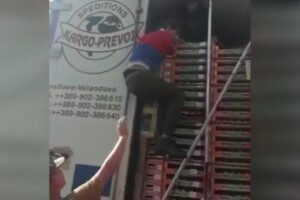 На Волині у рефрижераторі з нектаринами прикордонники виявили трьох афганців (Відео)