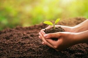 На Волині за 5 мільйонів гривень викупили спецдозвіл видобутку сапропелю на озері Синове